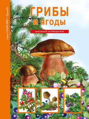 cover image of Грибы и ягоды